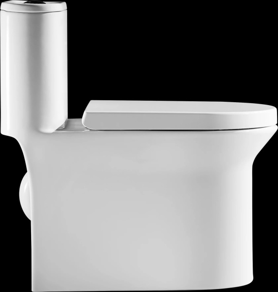 Унитаз напольный безободковый Arrow AB1802H без сиденья с бачком